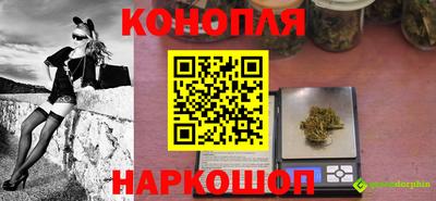 гашик Нягань