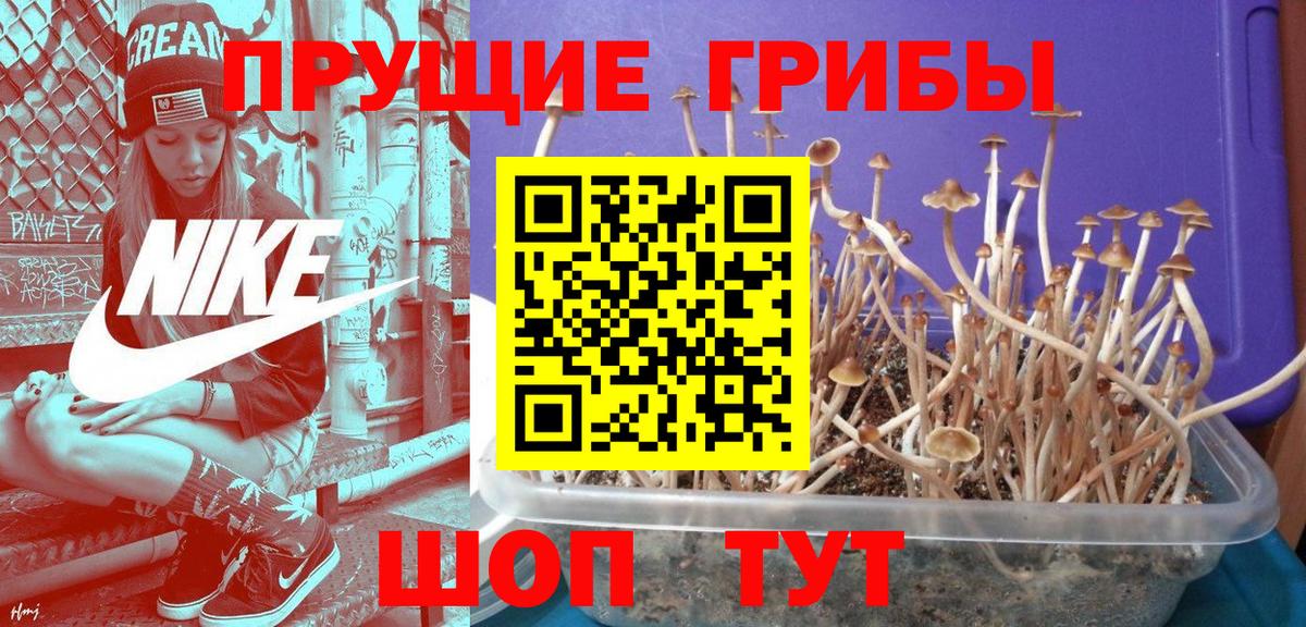 Галлюциногенные грибы Cubensis Рассказово